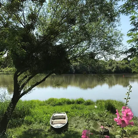 別荘 Peaceful Forest Retreat Near Saint Emilion